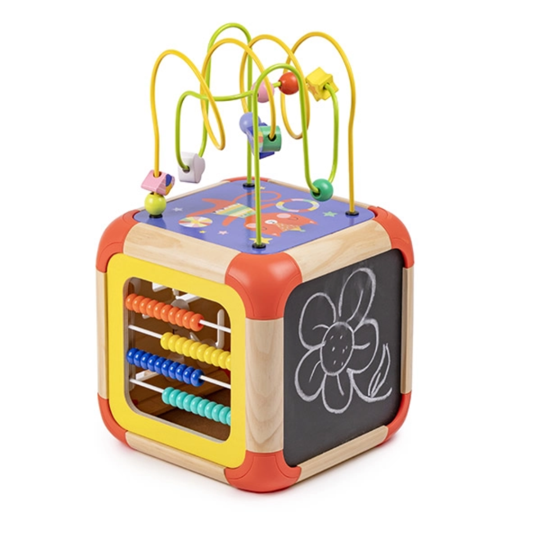 Racoon Activity Cube 浣熊活動立方體