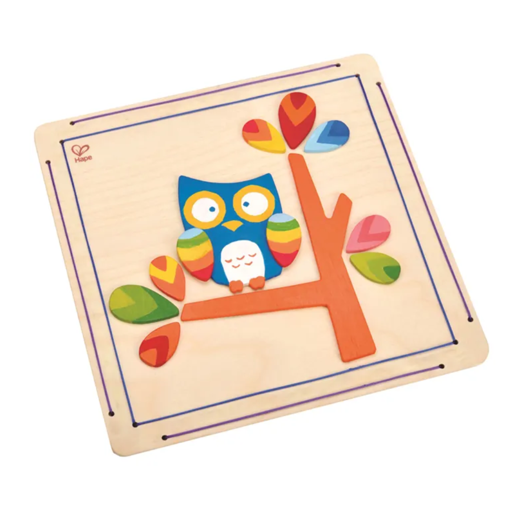 Hoot Owl Paint and Frame 貓頭鷹油漆和框架