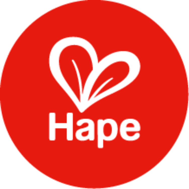 德國 Hape