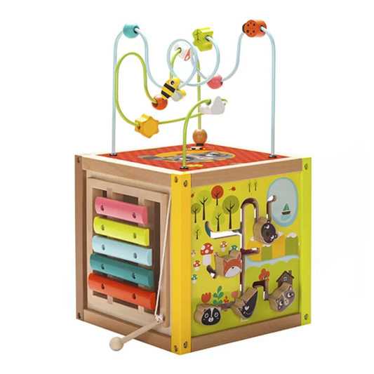 Racoon Activity Cube 浣熊活動立方體