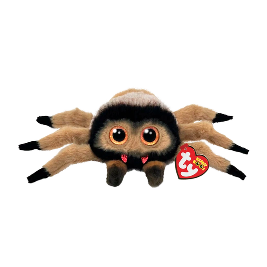 Godfrey Haired Tarantula 棕色毛狼蛛戈弗雷