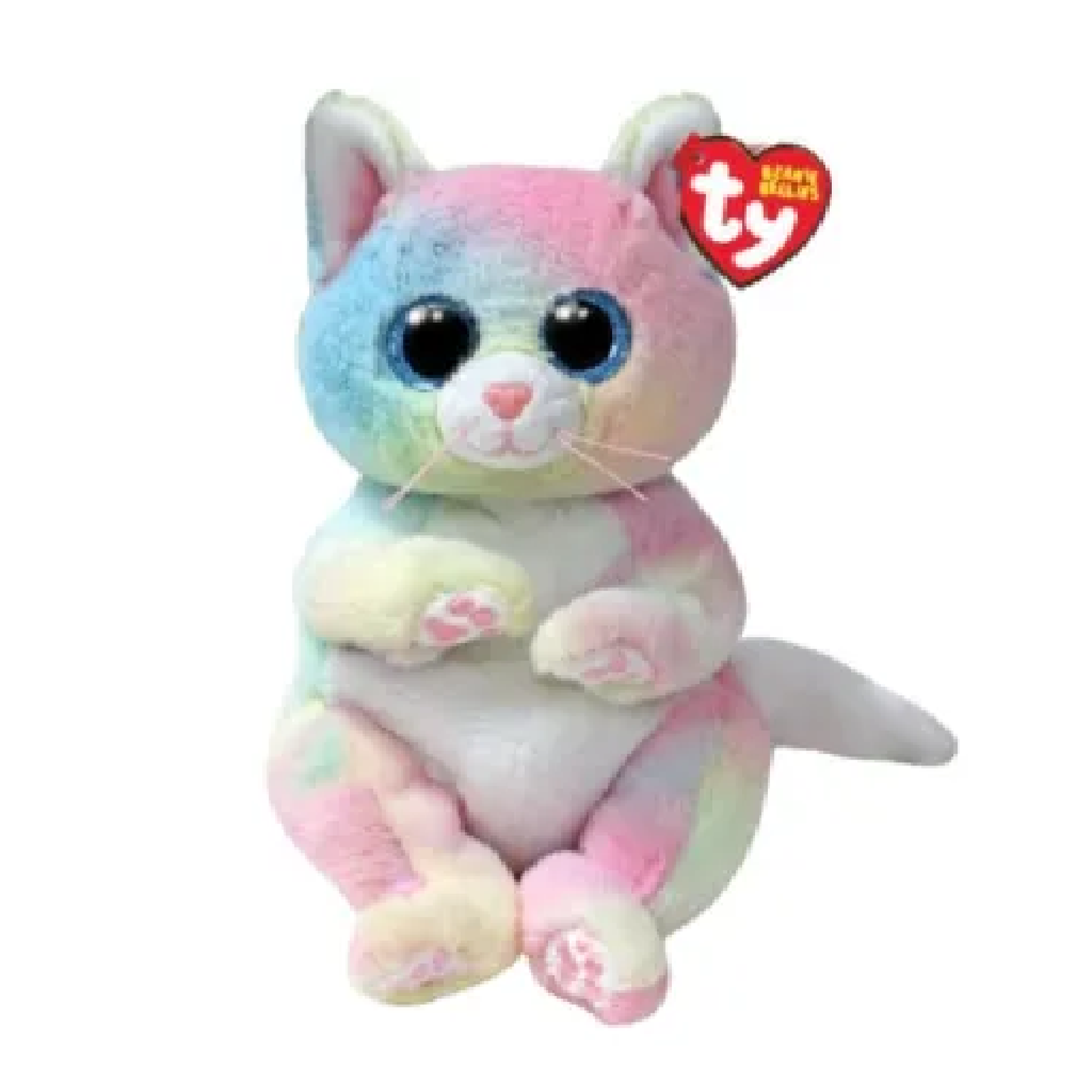 Morgan Cat 灰貓摩根