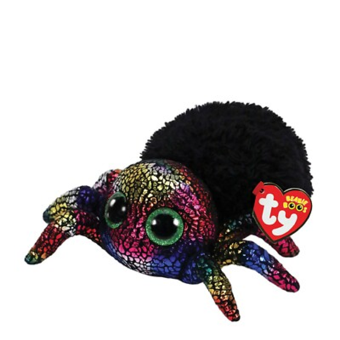 Godfrey Haired Tarantula 棕色毛狼蛛戈弗雷