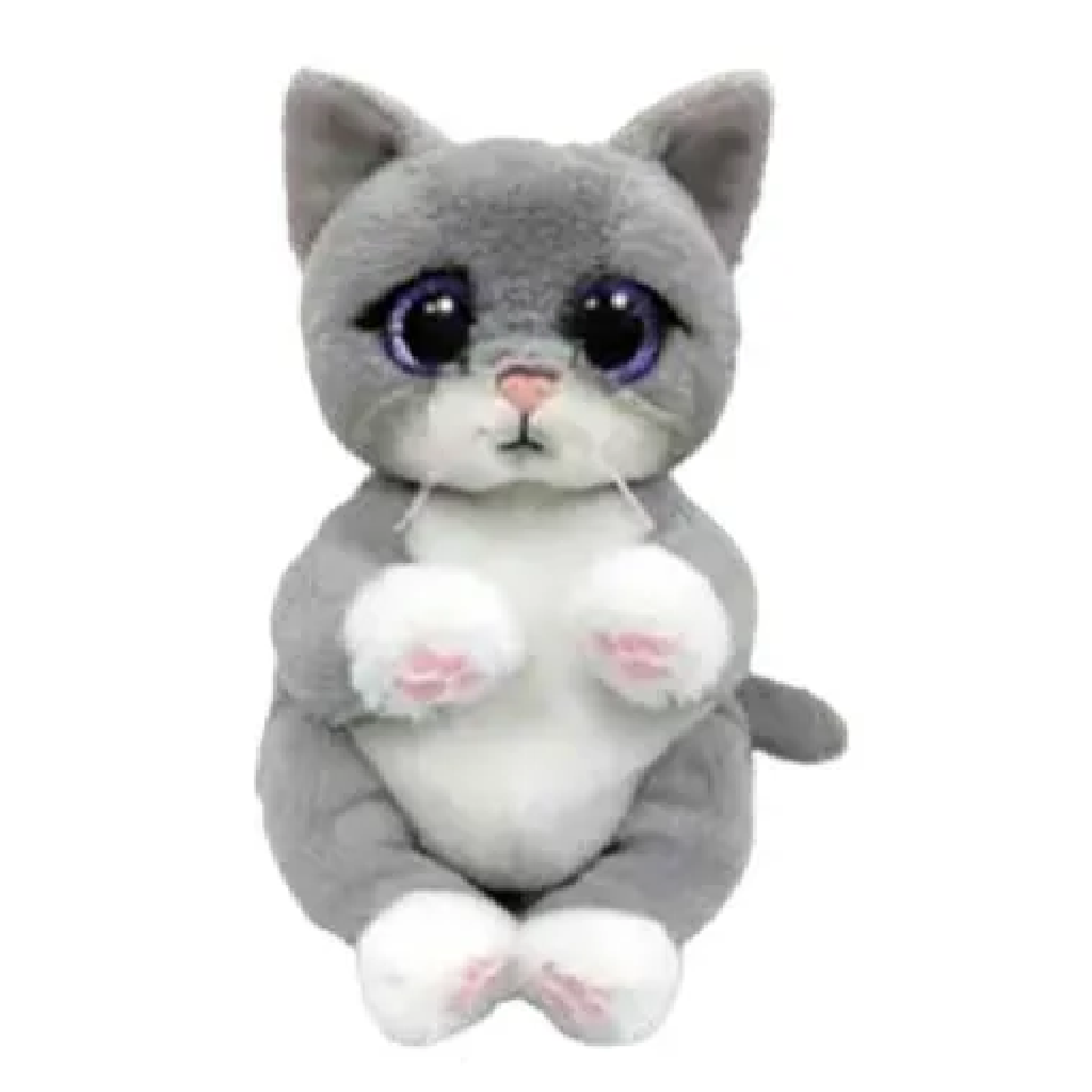 Morgan Cat 灰貓摩根
