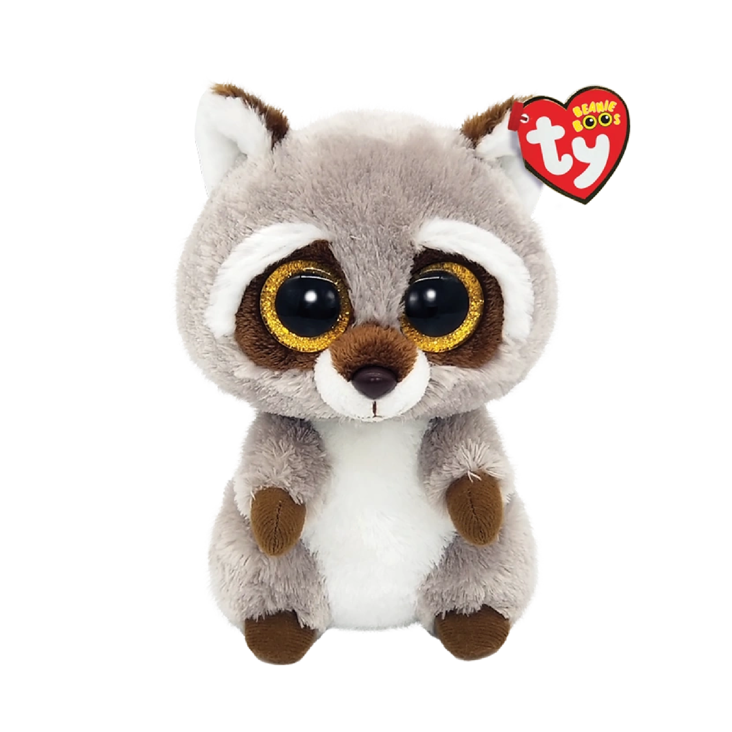 Oakie North American Raccoon 灰色北美洲浣熊奧基